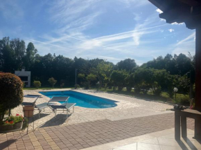 Countryside villa with pool Sinnai